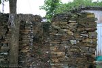 IMG_1360