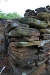IMG_1361