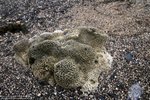 IMG_1415
