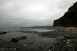 IMG_1561