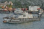 IMG_6366_1