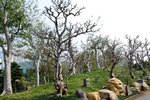 IMG_0672