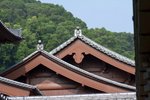 IMG_0858