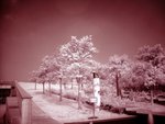 SAM_0506