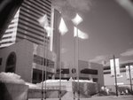 SAM_0677