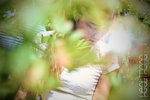 IMG_3000_Smooth 3