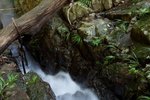 IMG_1214