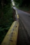 IMG_1322