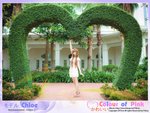 chloe_pink004