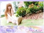 chloe_pink006