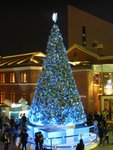 IMG_7547