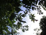 DSC03040