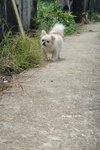 My dear friend001