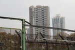 20131208-pta_picnicday_02-33