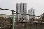 20131208-pta_picnicday_02-34