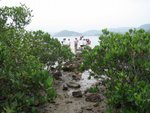 20081025-fieldtrip_02-03