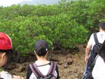 20081025-fieldtrip_02-19