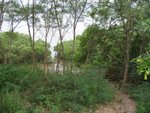 20081025-fieldtrip_05-01