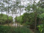 20081025-fieldtrip_05-02