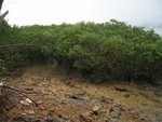 20081025-fieldtrip_05-04
