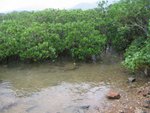 20081025-fieldtrip_05-05