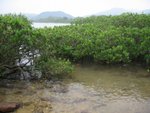 20081025-fieldtrip_05-06