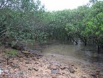 20081025-fieldtrip_05-07