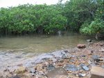 20081025-fieldtrip_05-08