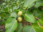 20081025-fieldtrip_05-13