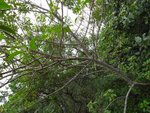 20081025-fieldtrip_05-33