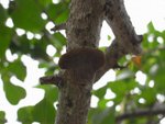20081025-fieldtrip_05-35