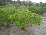 20081025-fieldtrip_05-45