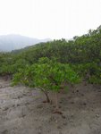 20081025-fieldtrip_05-53