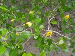 20081025-fieldtrip_05-54