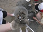 20081025-fieldtrip_06-09