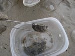 20081025-fieldtrip_06-11