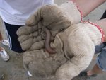 20081025-fieldtrip_06-20