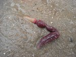 20081025-fieldtrip_06-23