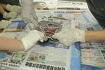 20111018-dissection-07