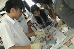 20111018-dissection-09