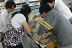 20111018-dissection-13