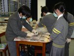 20100208-dissection-01