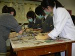 20100208-dissection-04