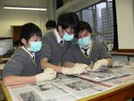 20100208-dissection-08