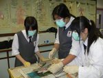 20100208-dissection-13