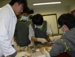 20100208-dissection-15