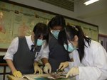 20100208-dissection-16
