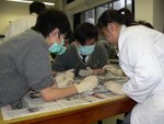 20100208-dissection-23