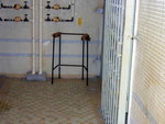 20041016-cleaning_aged-27
