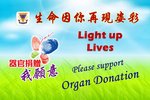 20161016-Organ_Donation